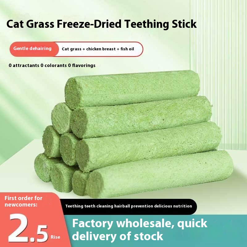 Que ngậm mọc răng đông khô Catgrass